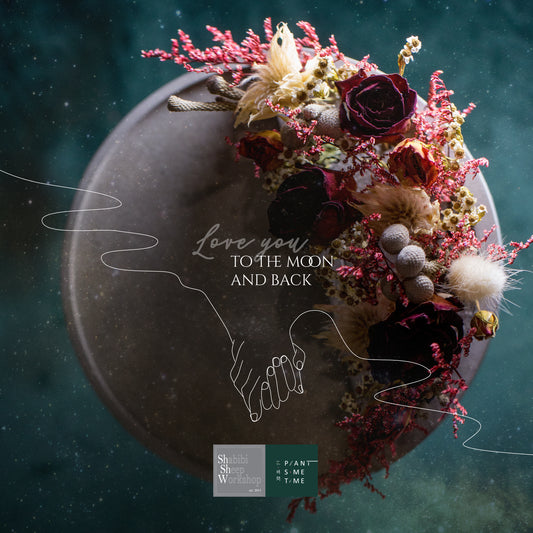 Shabibi Sheep Workshop x Plant Some Time