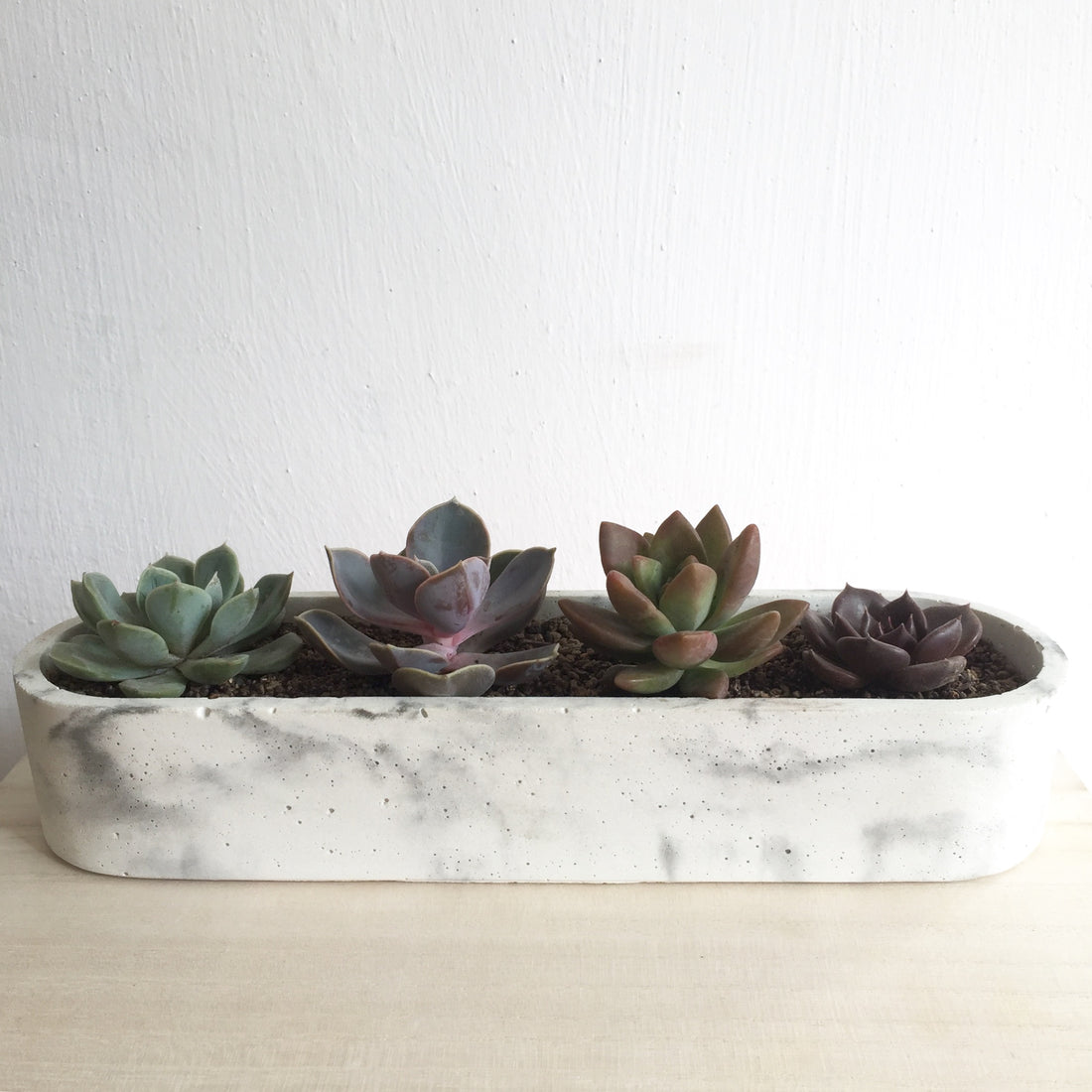concrete container for accessories storage / planter