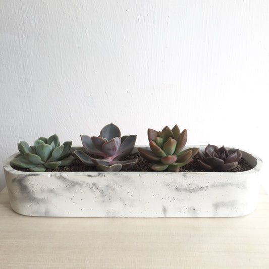 concrete container for accessories storage / planter