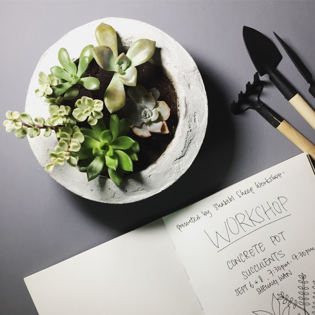 Workshop: concrete pot x succulents